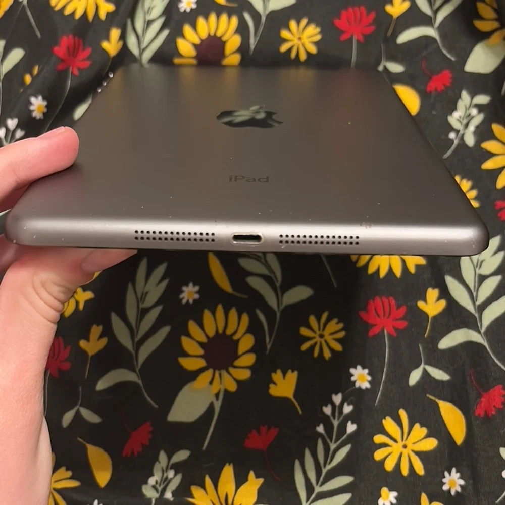 Apple Silver iPad Tablet with Sleek Design and Iconic Aesthetic